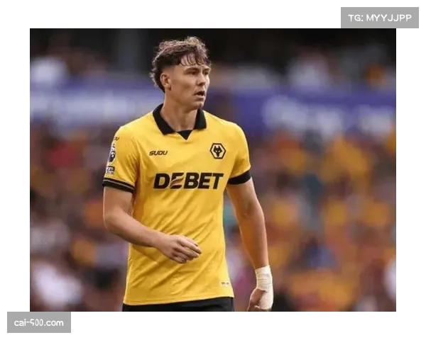 狼队冬窗净收入4870万英镑领跑盈利榜 出售拉尔森获巨额资金 狼队冬窗净收入4870万英镑领跑盈利榜 出售拉尔森获巨额资金